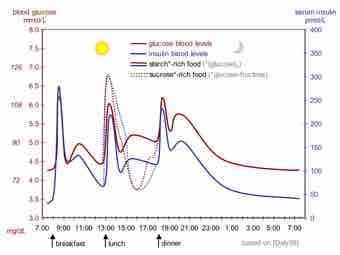 8 fig3 glucose insulin day