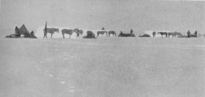 A Pony Camp On The Barrier