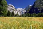 Yosemite_meadows_2004-09-04.jpg