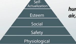 hierarchy of needs