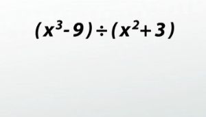 long and synthetic division