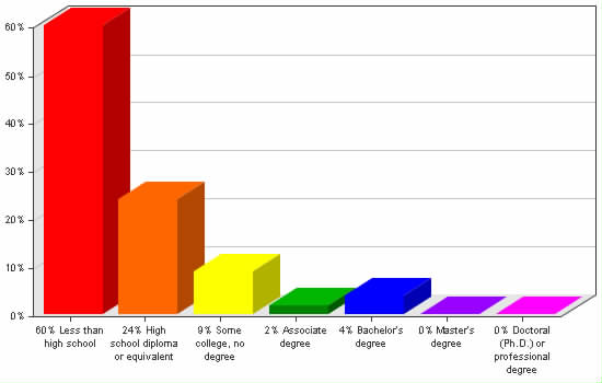 Chart showing education levels: Less than high school 60%; High school diploma or equivalent 24%; Some college, no degree 9%; Associate degree 2%; Bachelor's degree 4%; Master's degree 0%; Doctoral (Ph.D.) or professional degree 0%