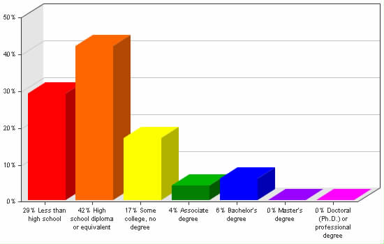 Chart showing education levels: Less than high school 29%; High school diploma or equivalent 42%; Some college, no degree 17%; Associate degree 4%; Bachelor's degree 6%; Master's degree 0%; Doctoral (Ph.D.) or professional degree 0%