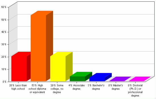 Chart showing education levels: Less than high school 20%; High school diploma or equivalent 53%; Some college, no degree 20%; Associate degree 4%; Bachelor's degree 3%; Master's degree 0%; Doctoral (Ph.D.) or professional degree 0%