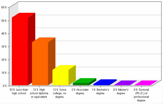 Chart showing education levels: Less than high school 52%; High school diploma or equivalent 33%; Some college, no degree 12%; Associate degree 2%; Bachelor's degree 1%; Master's degree 0%; Doctoral (Ph.D.) or professional degree 0%