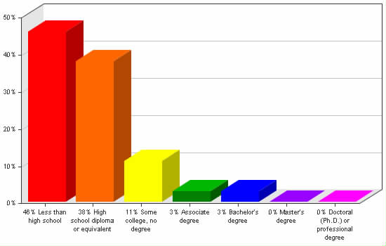 Chart showing education levels: Less than high school 46%; High school diploma or equivalent 38%; Some college, no degree 11%; Associate degree 3%; Bachelor's degree 3%; Master's degree 0%; Doctoral (Ph.D.) or professional degree 0%