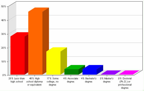 Chart showing education levels: Less than high school 28%; High school diploma or equivalent 46%; Some college, no degree 17%; Associate degree 4%; Bachelor's degree 4%; Master's degree 0%; Doctoral (Ph.D.) or professional degree 0%