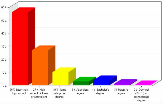 Chart showing education levels: Less than high school 56%; High school diploma or equivalent 27%; Some college, no degree 10%; Associate degree 3%; Bachelor's degree 4%; Master's degree 1%; Doctoral (Ph.D.) or professional degree 0%