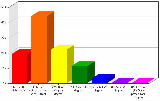 Chart showing education levels: Less than high school 19%; High school diploma or equivalent 44%; Some college, no degree 22%; Associate degree 11%; Bachelor's degree 3%; Master's degree 0%; Doctoral (Ph.D.) or professional degree 0%