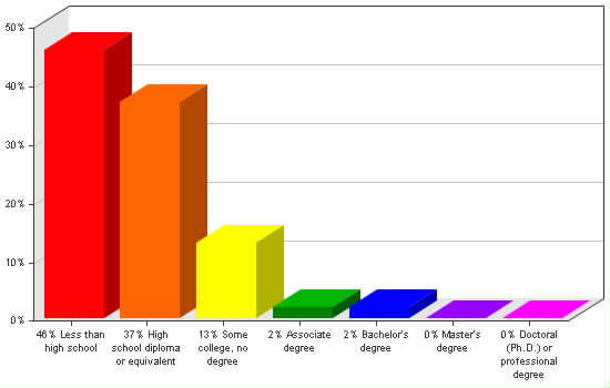 Chart showing education levels: Less than high school 46%; High school diploma or equivalent 37%; Some college, no degree 13%; Associate degree 2%; Bachelor's degree 2%; Master's degree 0%; Doctoral (Ph.D.) or professional degree 0%