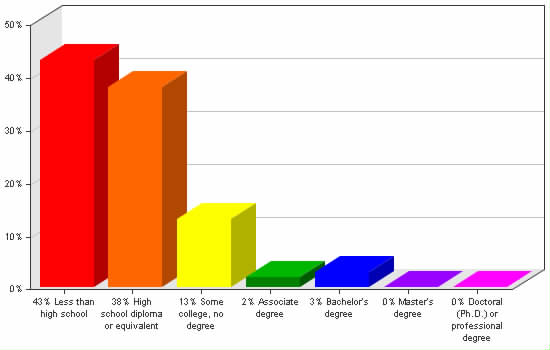 Chart showing education levels: Less than high school 43%; High school diploma or equivalent 38%; Some college, no degree 13%; Associate degree 2%; Bachelor's degree 3%; Master's degree 0%; Doctoral (Ph.D.) or professional degree 0%