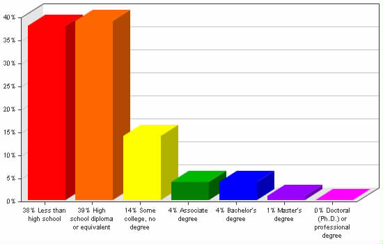 Chart showing education levels: Less than high school 38%; High school diploma or equivalent 39%; Some college, no degree 14%; Associate degree 4%; Bachelor's degree 4%; Master's degree 1%; Doctoral (Ph.D.) or professional degree 0%