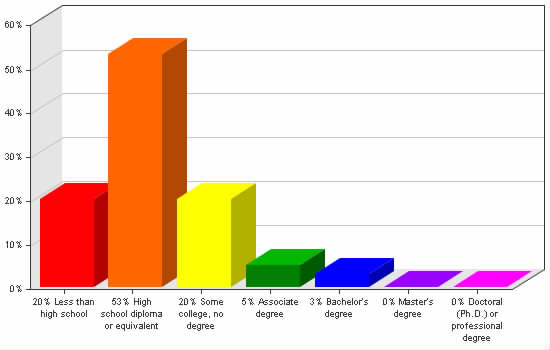 Chart showing education levels: Less than high school 20%; High school diploma or equivalent 53%; Some college, no degree 20%; Associate degree 5%; Bachelor's degree 3%; Master's degree 0%; Doctoral (Ph.D.) or professional degree 0%