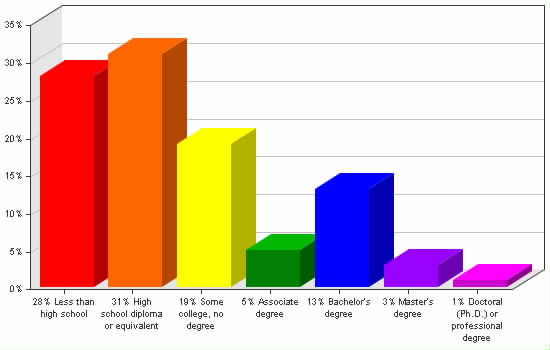 Chart showing education levels: Less than high school 28%; High school diploma or equivalent 31%; Some college, no degree 19%; Associate degree 5%; Bachelor's degree 13%; Master's degree 3%; Doctoral (Ph.D.) or professional degree 1%