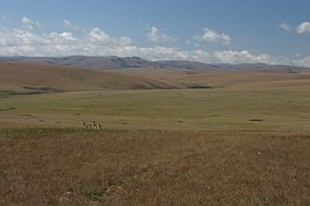 Afromontane grassland of the Nyika Plateau