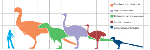 File:Giantbirds.svg