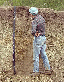 Soil sci.jpg