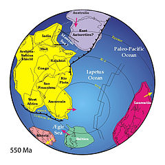 Positions of ancient continents, 550 million years ago.jpg