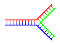 File:Branch-dna-single.svg