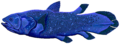 Coelacanth.png