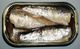 2006 sardines can open top.jpg