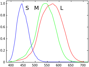 File:Cones SMJ2 E.svg